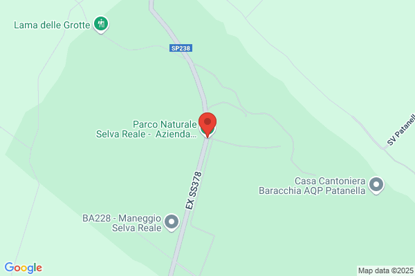 Azienda Agricola Selva Reale