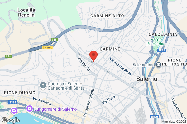 Amici di Zampa di Roberto Napoli