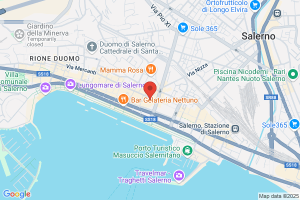 Gestione Servizi Medici S.A.S. Di Napoli F. e c.