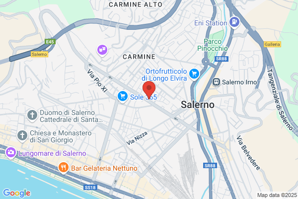 Tortora camillo (Dr.)