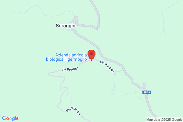 Germogli Di Rinaldi Attilio
