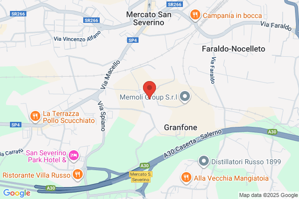 Metelliana S.P.A.Servizi Informatici