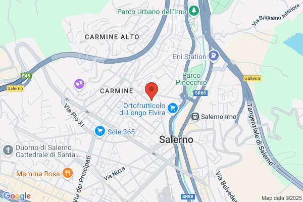 Centro Studi Medicina Omeopatica