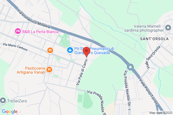 Noleggio Autobus Demarbus