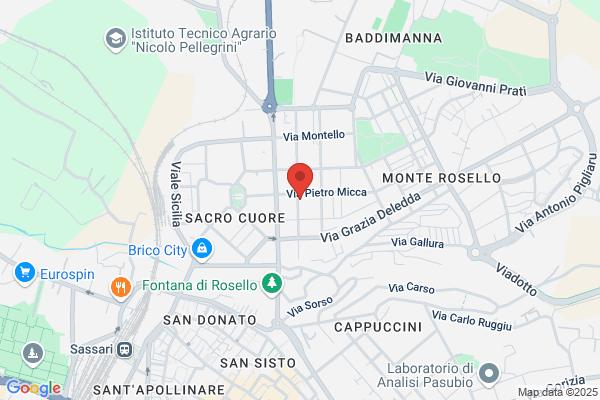 L'ARCA DI DAVIDE BIOSA