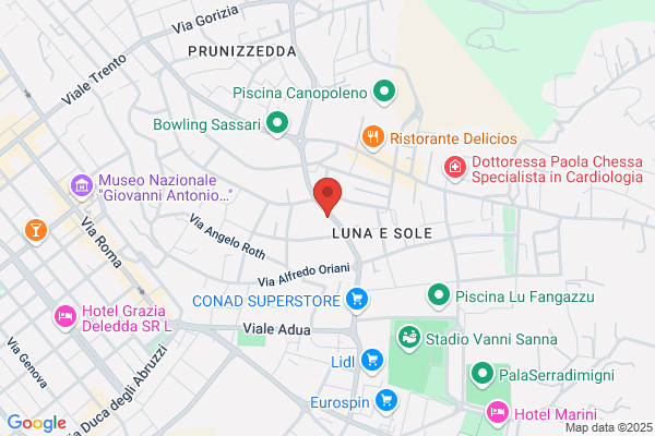Palestra Dynamika