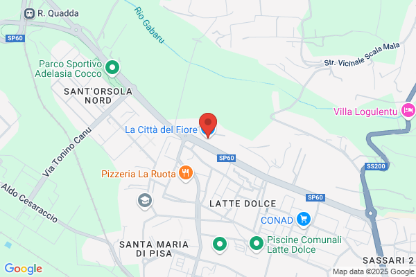 Tuttifiori Di Biddau & C. (S.N.C.)