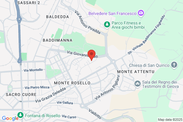 Ente Centro Italiano Femminile Per I Servizi assis