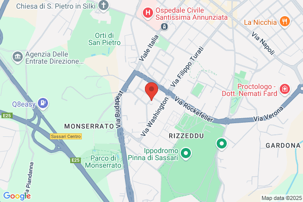 Porcu massimiliano