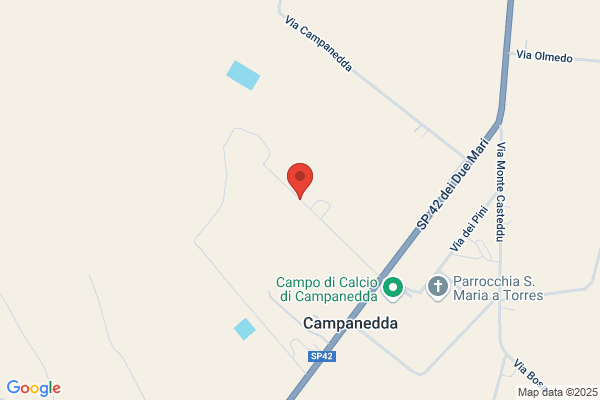 Pinna costanzo (Geom.)
