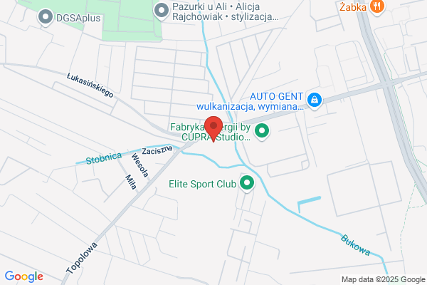Europol Service Srl