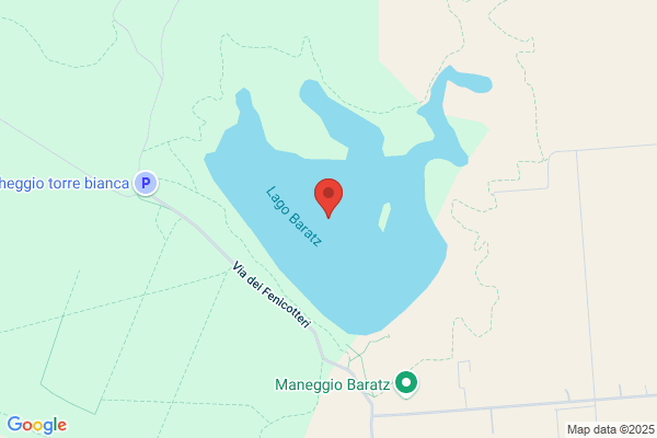 Kos Di Simula Mario Attilio