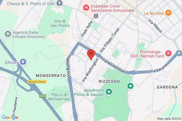 Pizzeria Il Ghiotto Di Pecorini Gianluca