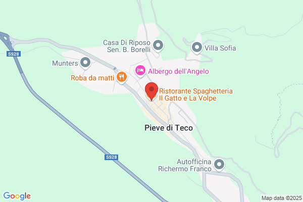 Il Gatto E La Volpe