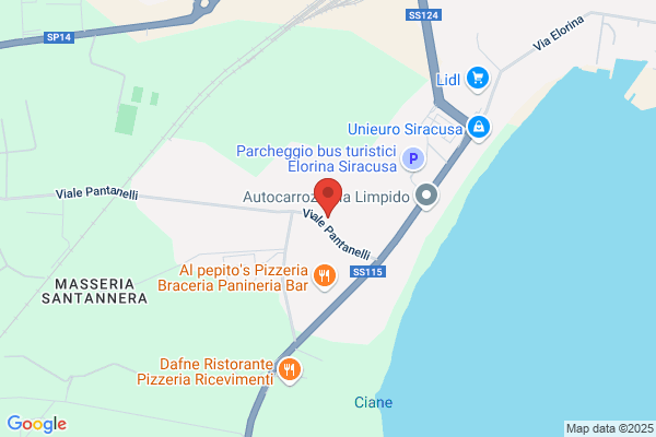 Uccello concetto