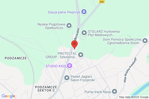 Auto Factory Nysa
