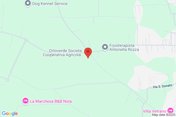 Ortoverde Cooperativa Agricola Arl