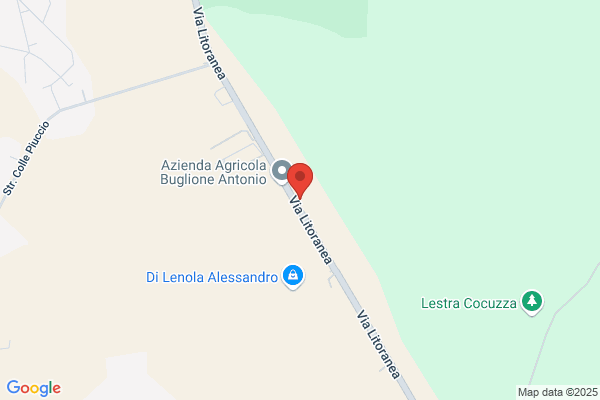 Friuli Costruzioni