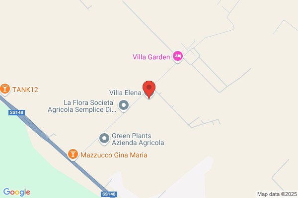 Villa Elena