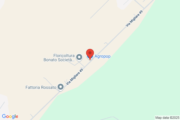 Italpinoli Dei Fratelli Paduano S.R.L.