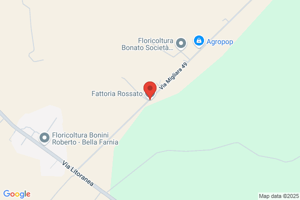 Rossato valentino