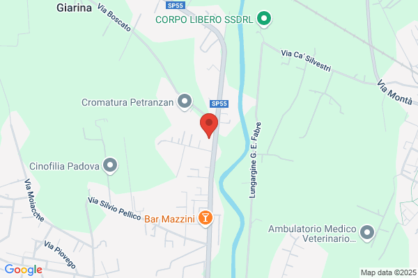 Artuso Autotrasporti Srl