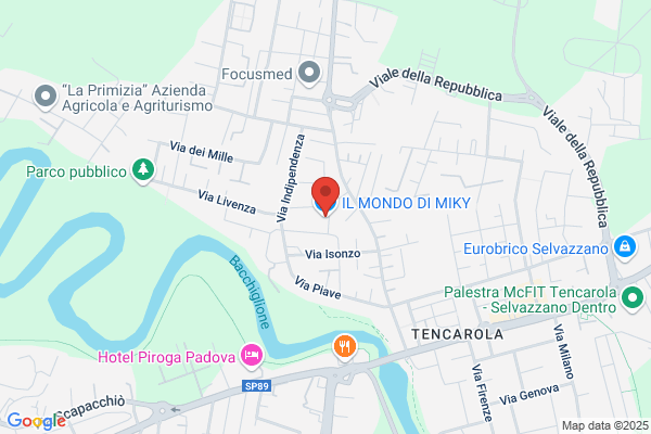 IL MONDO DI MIKY