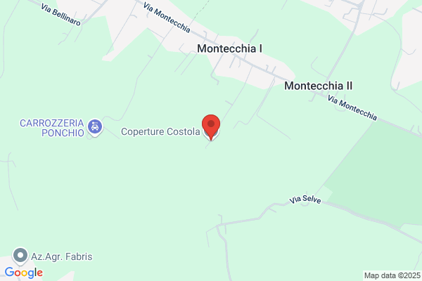 Coperture Costola