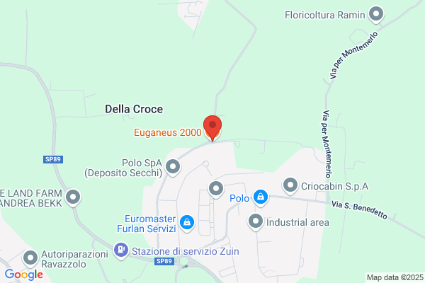 Ristorante Pizzeria Euganeus 2000