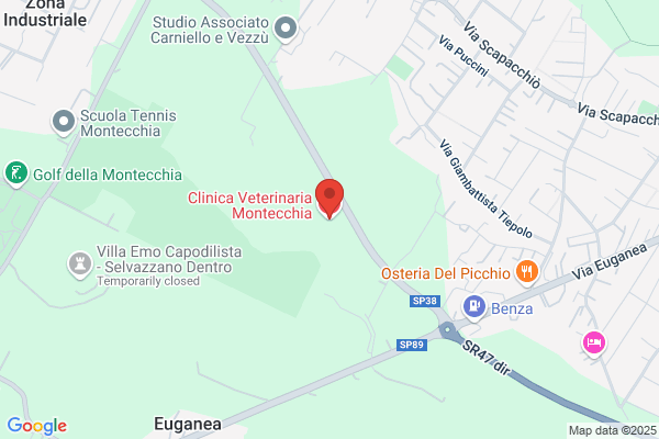 Clinica Veterinaria Montecchia