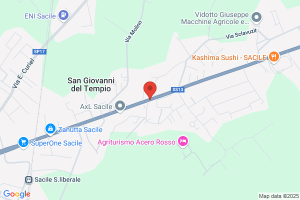 Meneguzzi enrica