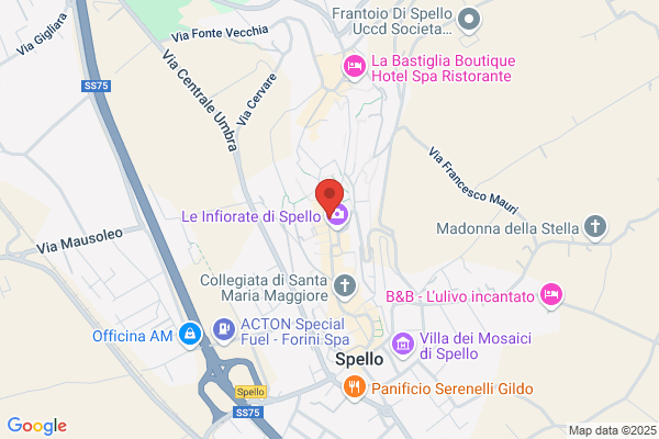 Il Melograno Di Pizzocaro Anna Maria