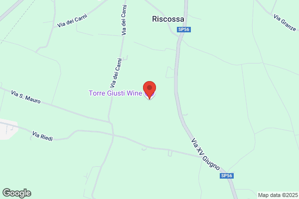 Giustizieri Delia