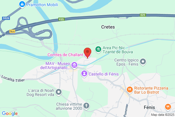 Hotel Comtes de Challant