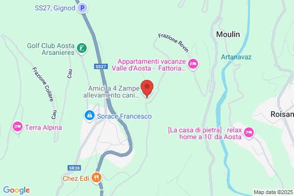 Amici a 4 Zampe