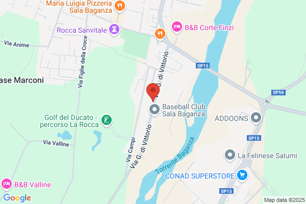 Veneziani elena