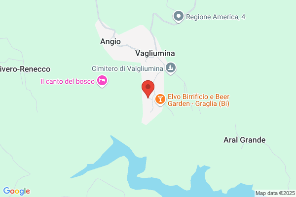 Gatto Bruno