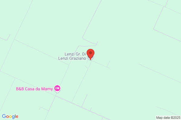 Spada Lenzi letizia