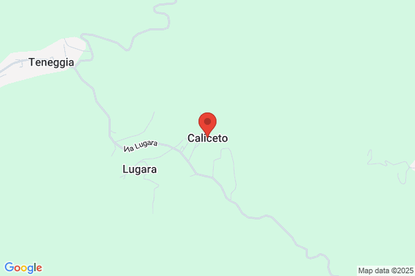 Caliceti S.r.l.