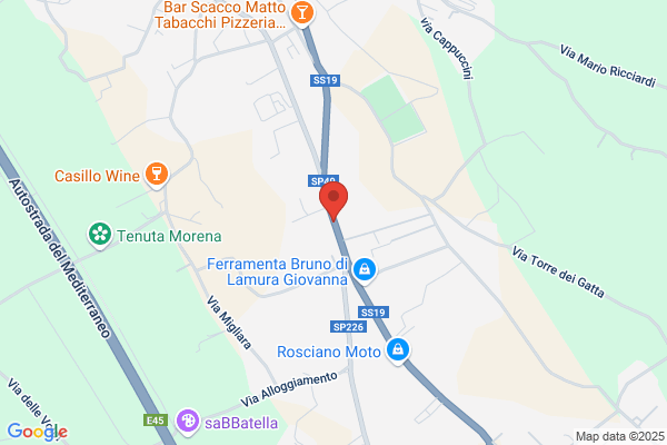 Tribunale