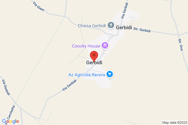 Saviolli donatello