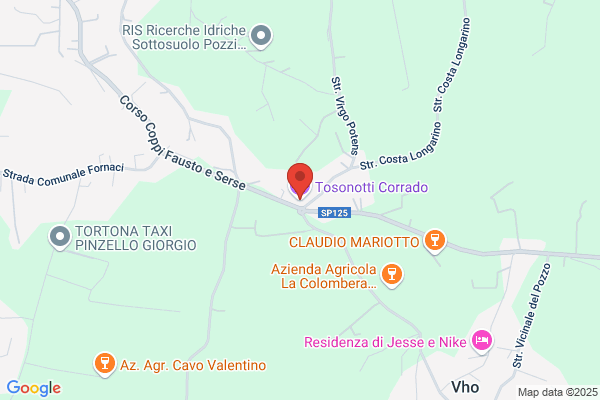 Tosonotti paolo