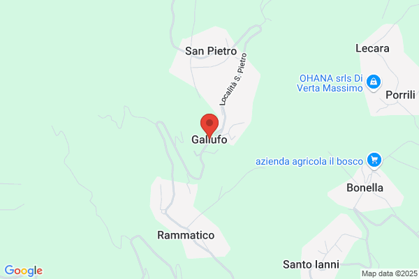 Galuffo Giuseppe