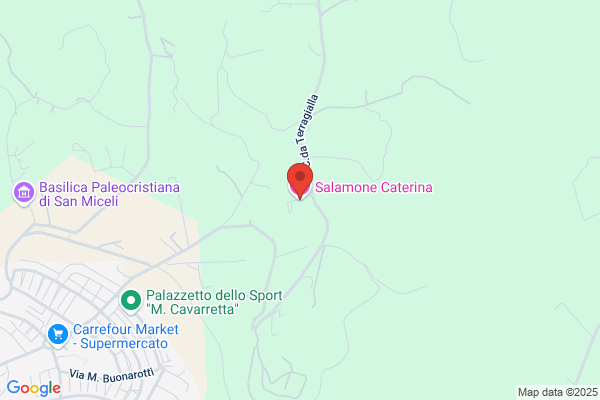 Salamone caterina