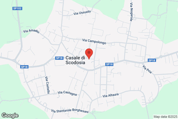 Danese Samuele Commercialista e Revisore Contabile