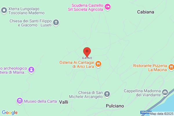 Gaino Giorgio