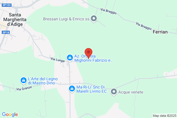 Ongaro michele