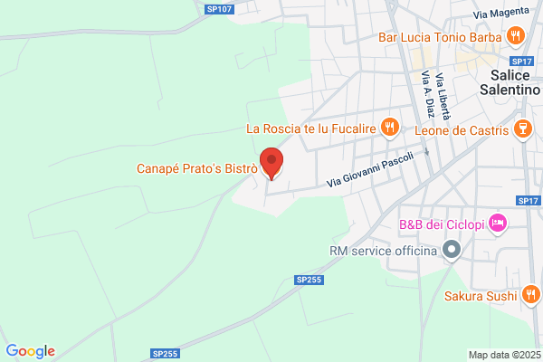 Palma carlo