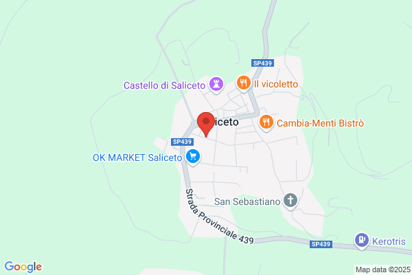 Poste Italiane S.P.A.