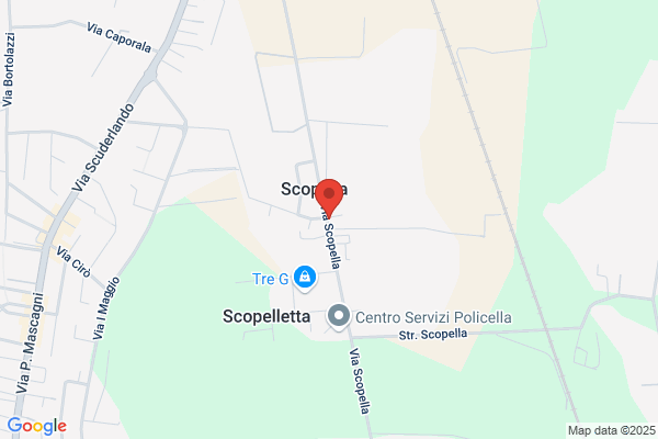 Officina Meccanica Signorini Fratelli